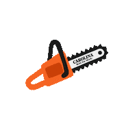 CarolinaShoe shopping usa sale america Sticker