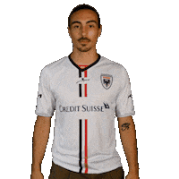 FCAarau fcaarau almeida mickaelalmeida Sticker