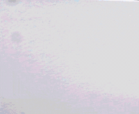DarrenJohn artist business boss shake GIF