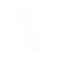 Backslash Sticker by CamaraTBWA