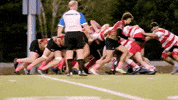 College Sports Rugby GIF by Norwich University