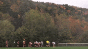 College Sports Rugby GIF by Norwich University