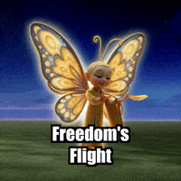 Freedom Detachment GIF by BuddhaFlyJourney