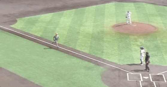 Super Regional Baseball GIF by NCAA Championships