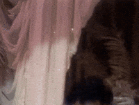 eddie murphy james browns celebrity hot tub party GIF by Saturday Night Live