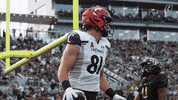 College Football Dancing GIF by Cincinnati Bearcats
