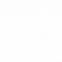 Regione Marche Italia GIF by Elis Marchetti CHEF