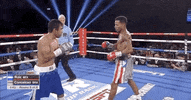 toprank fight sports sport boxing GIF