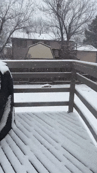 Snow Blankets Backyard in Boulder