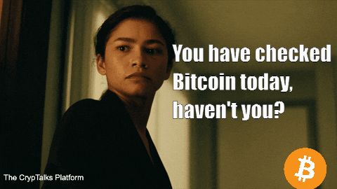 Crypto Bitcoin GIF by CrypTalks