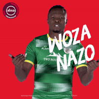 south african soccer GIF