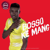 south african soccer GIF