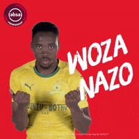 south african soccer GIF
