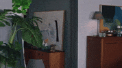 Kızılcık Şerbeti GIF by Show TV
