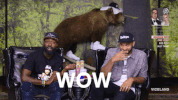 desusandmero wow reactions shocked shook GIF