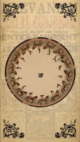 Cinco De Mayo Eye GIF by The Pathfinder