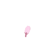 Cherry Blossom Pink Sticker