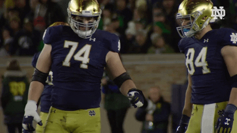 Notre Dame Fist Bump GIF by Notre Dame Fighting Irish