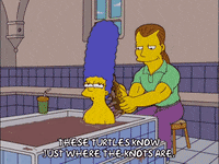 the simpsons episode 6 GIF
