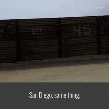 san diego wall GIF by The Daily Signal