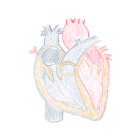 Heart Sticker
