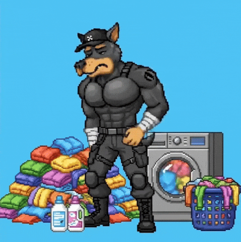 Drying Laundry Day GIF by SkyDog Social