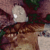 digital punk hardstyle GIF by Scantraxx