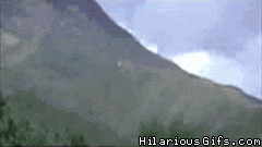 kung fu fighting GIF