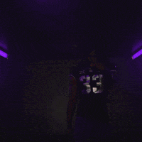 Division 1 Sport GIF by TCU Football