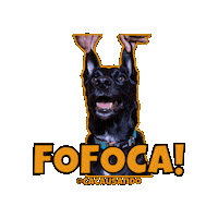Cacausando cachorro cachorros fofoca cacausando Sticker