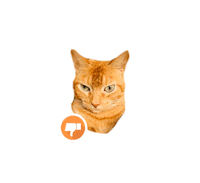 Dont Like Grumpy Cat Sticker by Rubicat