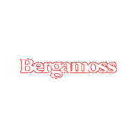 Brand Yes Sticker by Bergamoss