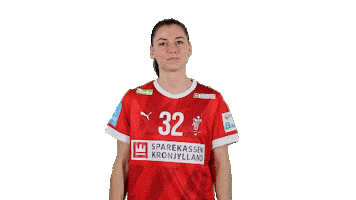 Women Championship Sticker by EHF