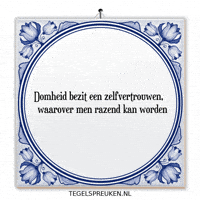 Wijsheid Zelfvertrouwen GIF by Tegelspreuken.nl