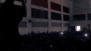maydayparade music concert mayday parade maydayparade GIF