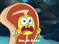 season 4 the lost mattress GIF by SpongeBob SquarePants