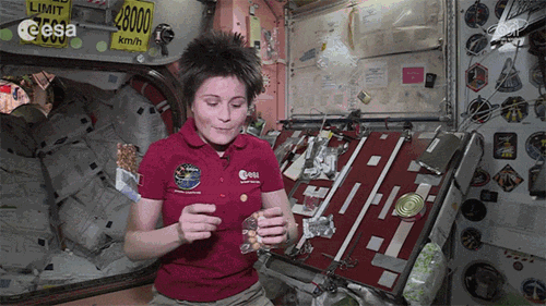 space eating GIF