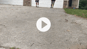 citylifelansing  GIF
