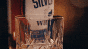 SilverbellyWhiskey whiskey alan jackson silverbelly silverbelly whiskey GIF