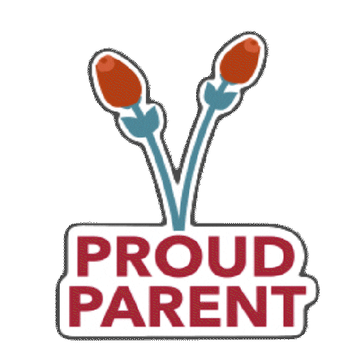 Congrats Graduation Sticker by SantaClaraUniversity