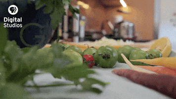 GIF by PBS