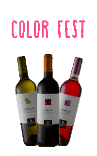 Lamezia Terme Wine Sticker by Color Fest