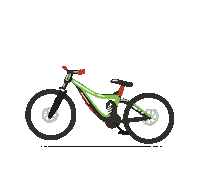 Bike Ride Sticker