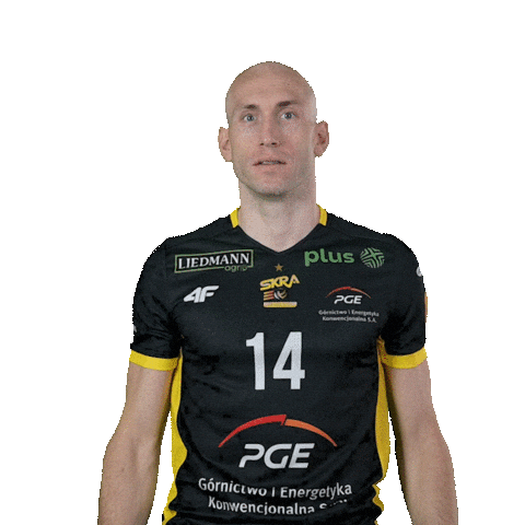 Monster Volleyball Sticker by PGE GiEK Skra Bełchatów