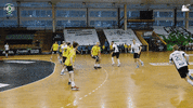 Celebrate Czech Republic GIF by HCB Karviná
