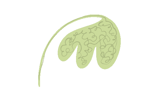 Plant Leaf Sticker