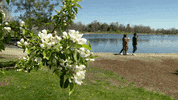 9News GIF by nextwithkyleclark