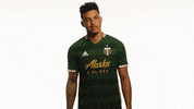 Portland Timbers No GIF by Timbers