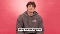 Bring Me The Puppies