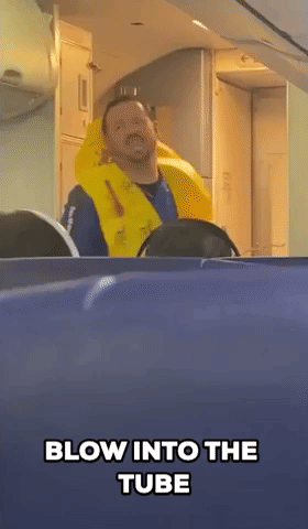 Flight Attendant Entertains Cabin